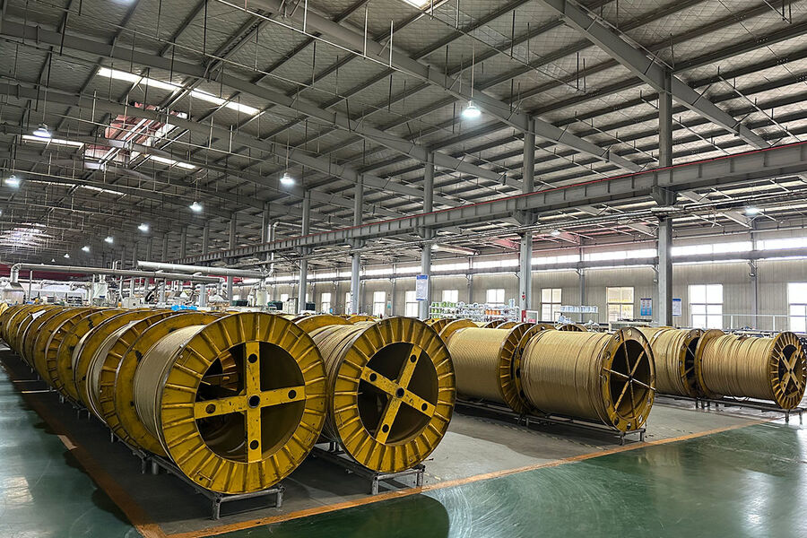 Jiayao Co., Ltd. خط تولید تولید کننده